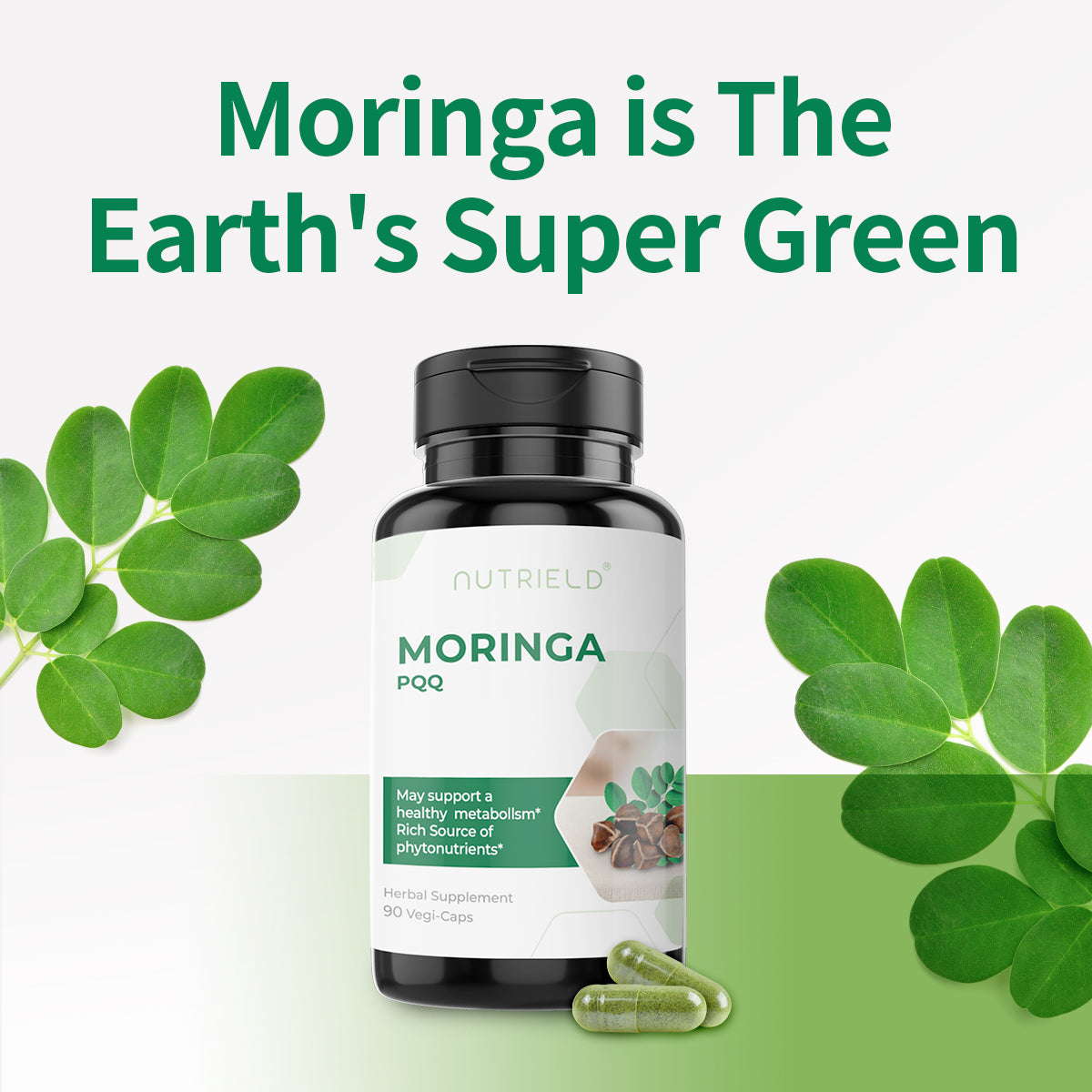 Moringa(PQQ)