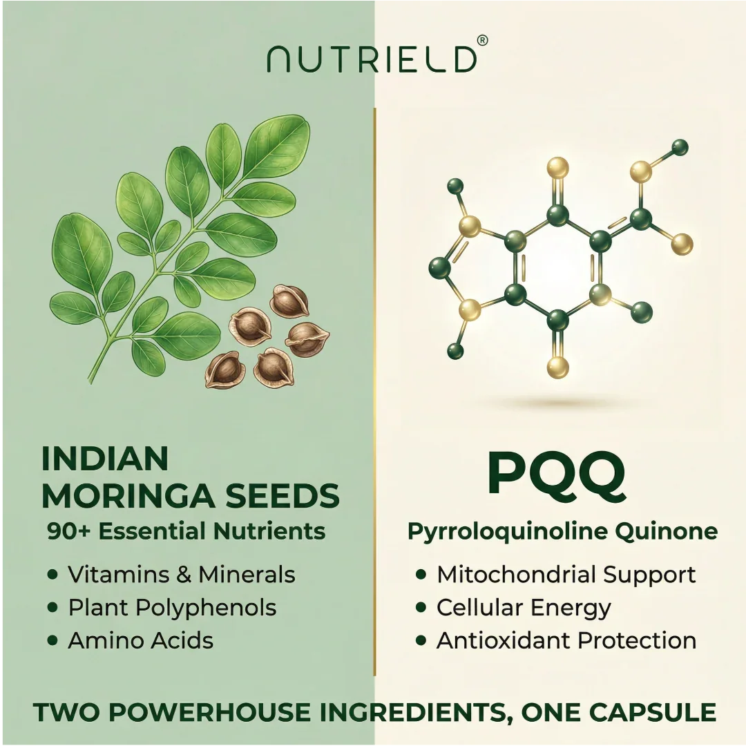 Indian moringa seeds and PQQ molecule highlight key supplement ingredients for cellular energy.